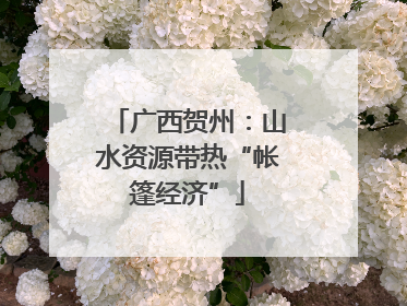 广西贺州：山水资源带热“帐篷经济”